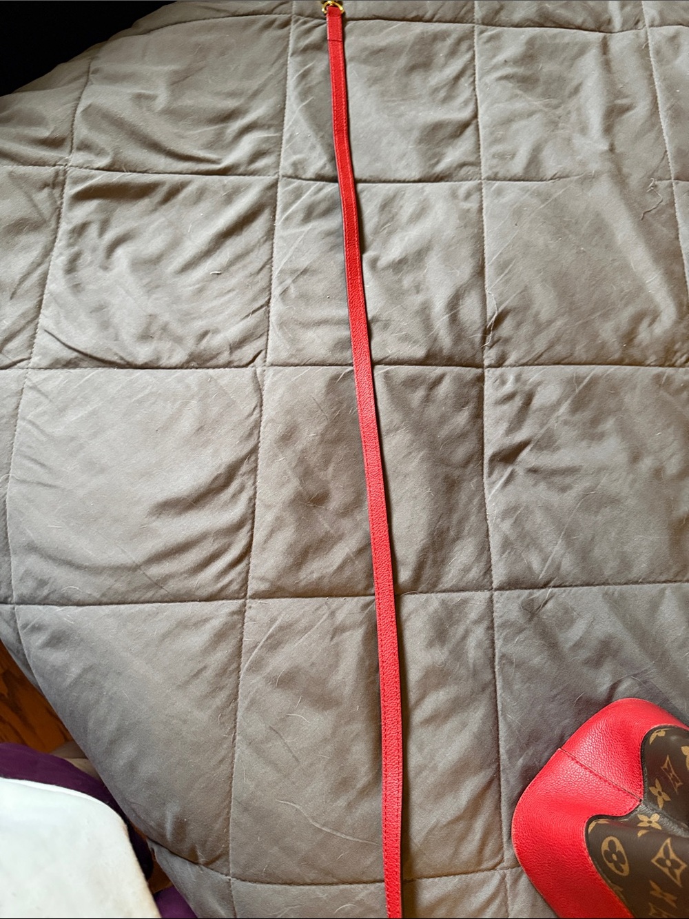 Louis Vuitton Monogram Tote with Red Handles and Corners - Picture 2 of 5